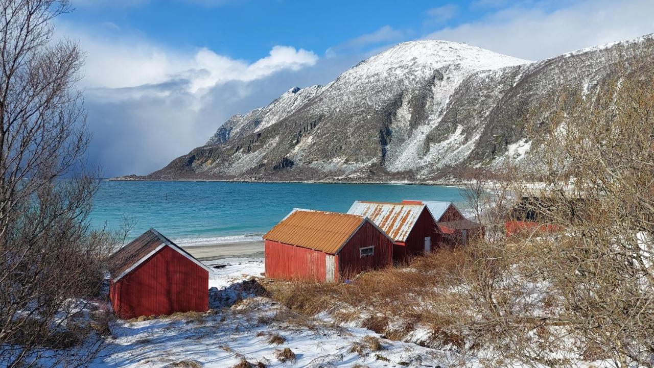 Holiday Home On Senja Senjahopen Eksteriør bilde