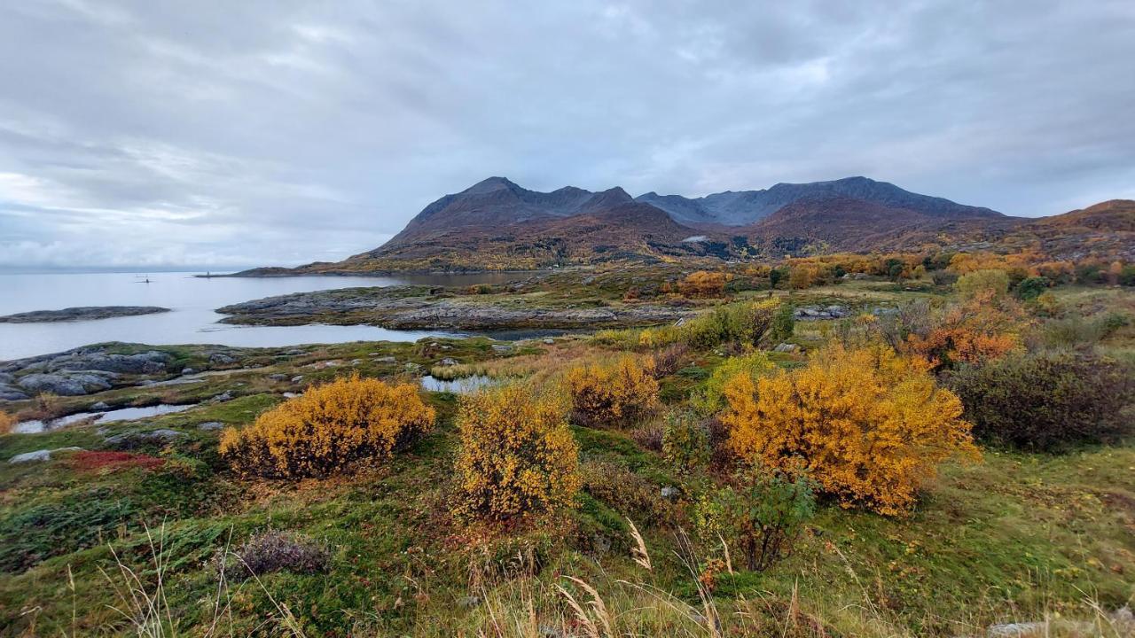 Holiday Home On Senja Senjahopen Eksteriør bilde
